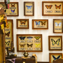 Cargar imagen en el visor de la galería, Book Nook - Casa de las Mariposas