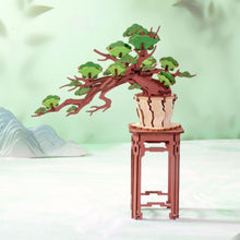 Cargar imagen en el visor de la galería, Puzzle 3D Bonsái de Pino Siempre Verde