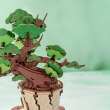 Cargar imagen en el visor de la galería, Puzzle 3D Bonsái de Pino Siempre Verde