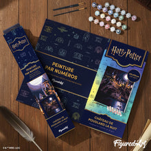 Cargar imagen en el visor de la galería, Harry Potter - Castillo de Hogwarts de noche