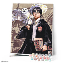 Cargar imagen en el visor de la galería, Harry Potter y Hedwig