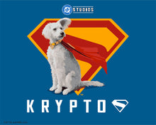 Cargar imagen en el visor de la galería, Pintar por numeros Figured'Art - Superman - Krypto con el escudo “S”