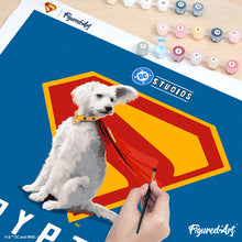 Cargar imagen en el visor de la galería, Superman - Krypto con el escudo “S”