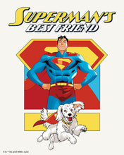 Cargar imagen en el visor de la galería, Pintar por numeros Figured'Art - El mejor amigo de Superman