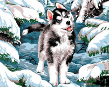 Cargar imagen en el visor de la galería, Pintar por números | Husky en la nieve | Novedades Animales Perros Invierno Intermedio | FiguredArt