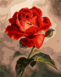 Pintar por números | Una hermosa rosa roja | Novedades Flores Fácil | FiguredArt