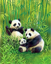 Cargar imagen en el visor de la galería, Pintar por números | La familia de pandas | Novedades Animales Pandas Avanzado | FiguredArt