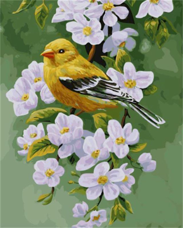 Pintar por números | Pájaro en una rama floreciendo | Novedades Animales Pájaros Flores Fácil | FiguredArt