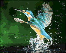 Cargar imagen en el visor de la galería, Pintar por números | Colibri alzando el vuelo | Novedades Animales Pájaros Fácil | FiguredArt