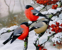 Cargar imagen en el visor de la galería, Pintar por números | Rouge Gorge en la nieve | Novedades Animales Pájaros Invierno Avanzado | FiguredArt