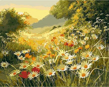 Cargar imagen en el visor de la galería, Pintar por números | Campo de margaritas bajo el sol | Novedades Paisajes Flores Avanzado | FiguredArt