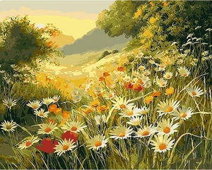 Pintar por números | Campo de margaritas bajo el sol | Novedades Paisajes Flores Avanzado | FiguredArt