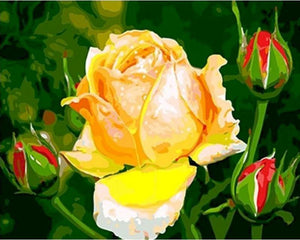 Pintar por números | Capullo de rosa amarilla | Novedades Flores Fácil | FiguredArt