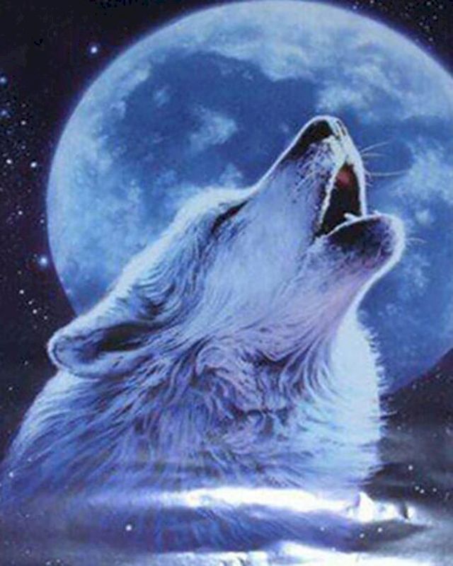 Pintar por números | Lobo aullando a la luna | Novedades Animales Lobos Intermedio | FiguredArt