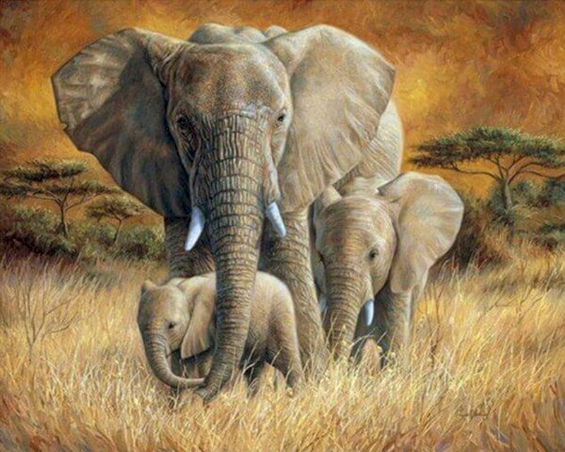 Pintar por números | La familia de elefantes | Novedades Animales Elefantes Avanzado | FiguredArt