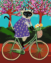 Cargar imagen en el visor de la galería, Pintar por números | Gato negro en bicicleta | Novedades pintura abstracta Animales Gatos Fácil | FiguredArt