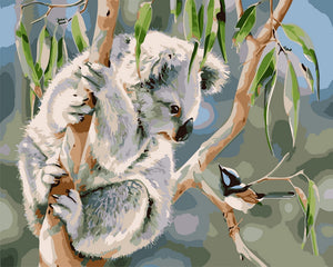 Koala y pájaro
