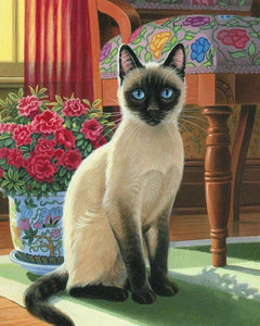 Diamond Painting - Gato con ojos azules