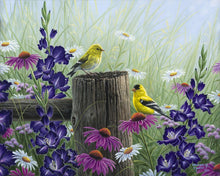 Cargar imagen en el visor de la galería, Pintar Por Números - Pareja de Goldfinch - Figuredart - Intermedio Animales Pájaros Flores Novedades