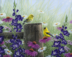 Pintar Por Números - Pareja de Goldfinch - Figuredart - Intermedio Animales Pájaros Flores Novedades