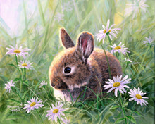 Cargar imagen en el visor de la galería, Pintar Por Números - Conejo y margueritas - Figuredart - Intermedio Animales Conejos Novedades