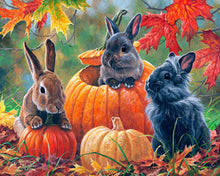 Cargar imagen en el visor de la galería, Pintar Por Números - Trío de conejo - Figuredart - Intermedio Animales Conejos Novedades