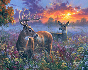 Pintar Por Números - Pareja de ciervos - Figuredart - Avanzado Paisajes Animales Renos Novedades