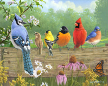 Cargar imagen en el visor de la galería, Pintar Por Números - Pájaros en la barrera - Figuredart - Intermedio Animales Pájaros Novedades