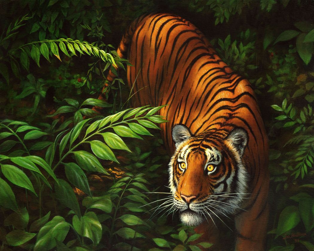 Pintar Por Números - Tigre en los helechos - Figuredart - Fácil Animales Tigres Novedades