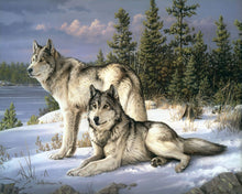 Cargar imagen en el visor de la galería, Pintar Por Números - Lobos - Figuredart - Intermedio Animales Lobos Novedades