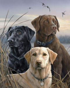 Pintar Por Números - Labrador trío - Figuredart - Intermedio Animales Perros Novedades