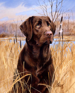 Pintar Por Números - Perro Labrador - Figuredart - Fácil Animales Perros Novedades