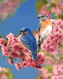 Pintar Por Números - Pareja de pájaros azul - Figuredart - Fácil Animales Pájaros Novedades