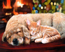 Cargar imagen en el visor de la galería, Pintar Por Números - Siesta con amigos - Figuredart - Fácil Animales Perros Gatos Novedades