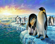 Cargar imagen en el visor de la galería, Pintar por números Pingüinos en la banquisa Figured&#39;Art Intermedio Novedades Animales Pingüinos Paisajes