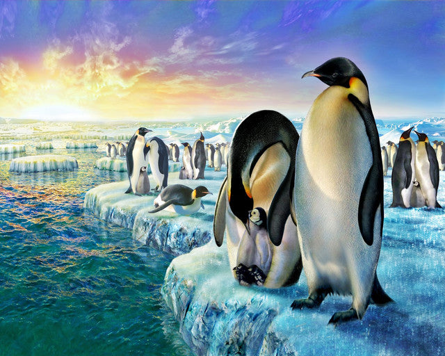 Pintar por números Pingüinos en la banquisa Figured'Art Intermedio Novedades Animales Pingüinos Paisajes