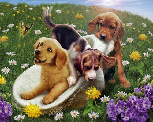 Pintar por números Juegos con amigos Figured'Art Intermedio Novedades Animales Perros Flores