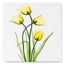 Cargar imagen en el visor de la galería, Mini Pintar por Números 20x20cm con bastidor Flores bonitas y amarillas