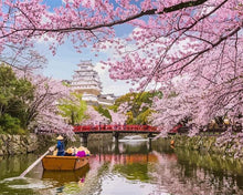 Cargar imagen en el visor de la galería, Pintar por números - Flores de cereza en Japón