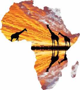 Pintar por números - África y jirafas