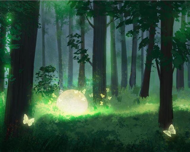 Pintar por números - Luna del bosque