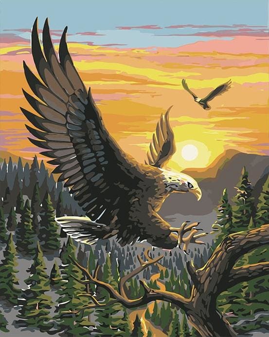 Pintar Por Números - Águila En La Salida De Sol - Figuredart - Animales Paisajes
