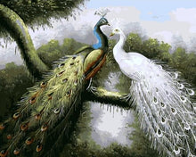 Cargar imagen en el visor de la galería, Pintar Por Números - Amor Entre Pavos Reales - Figuredart - Animales Pavo Real