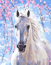Cargar imagen en el visor de la galería, Pintar Por Números - Caballo Blanco Y Flores - Figuredart - Animales Caballos