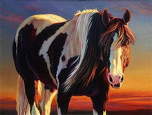 Cargar imagen en el visor de la galería, Pintar Por Números - Caballo Blanco Y Marrón - Figuredart - Animales Caballos