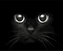Cargar imagen en el visor de la galería, Pintar Por Números - Cabeza De Gato Negro - Figuredart - Animales Gatos