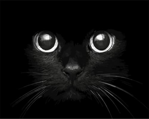 Pintar Por Números - Cabeza De Gato Negro - Figuredart - Animales Gatos