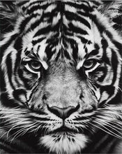 Cargar imagen en el visor de la galería, Pintar Por Números - Cabeza De Tigre Blanco Y Negro - Figuredart - Animales Tigres
