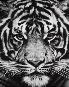 Pintar Por Números - Cabeza De Tigre Blanco Y Negro - Figuredart - Animales Tigres