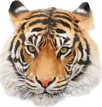 Cargar imagen en el visor de la galería, Pintar Por Números - Cabeza De Tigre - Figuredart - Animales Tigres